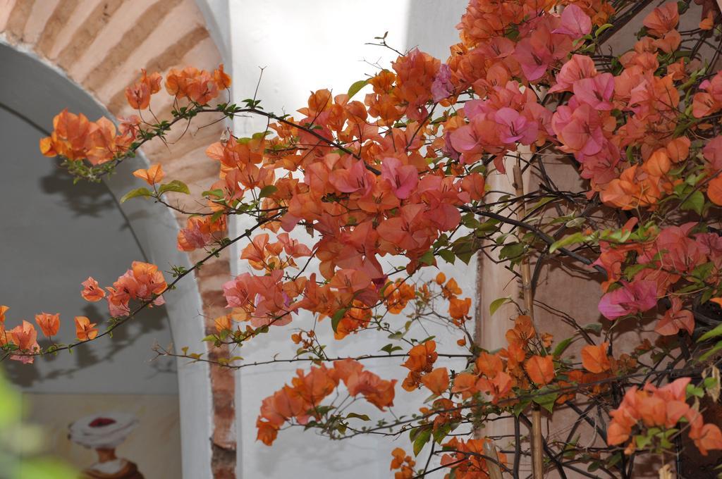 Ryad Dar Ganou Marrakesh Exterior photo