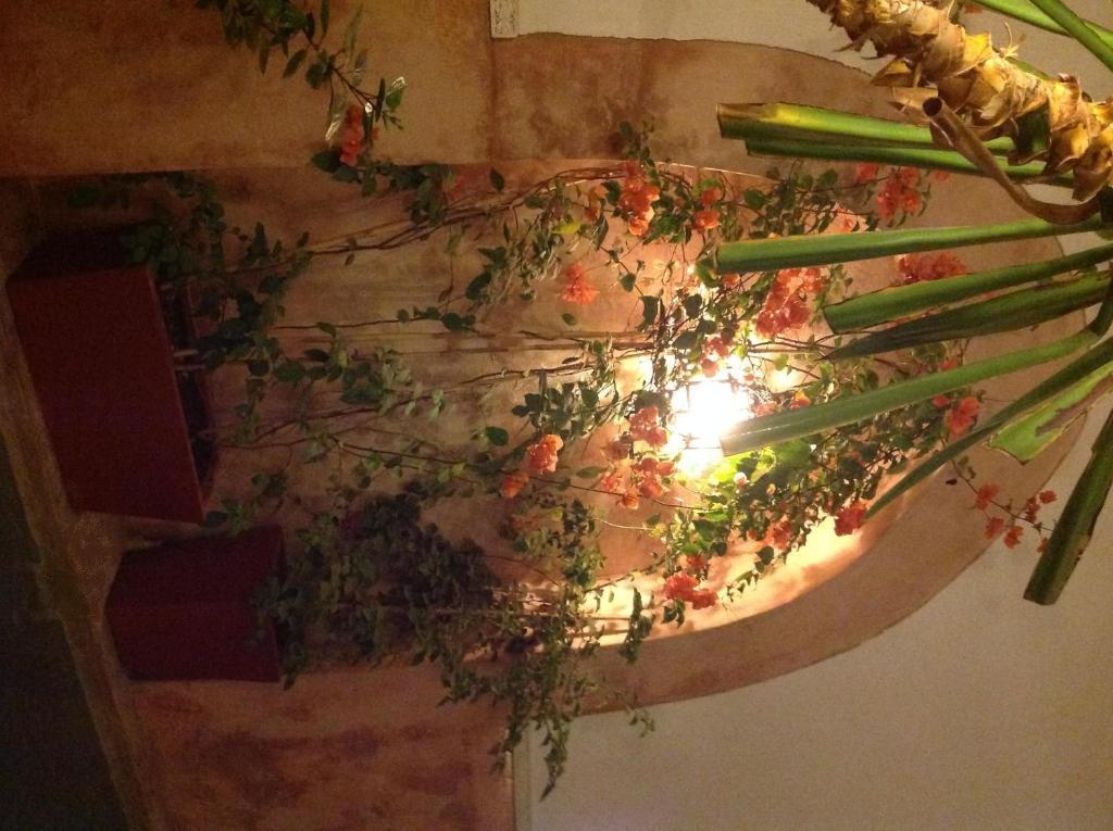 Ryad Dar Ganou Marrakesh Exterior photo